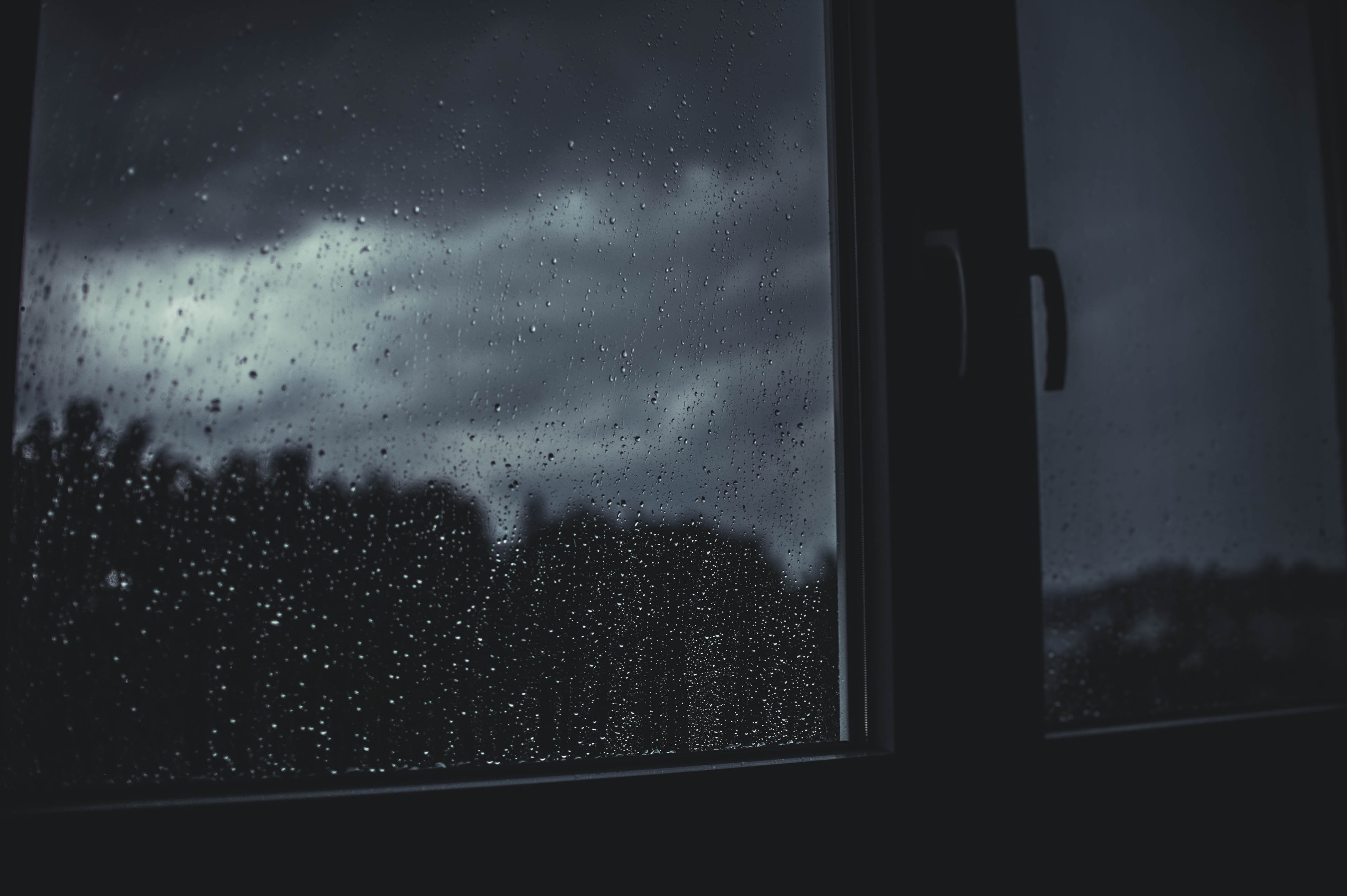 The Night of the Winds