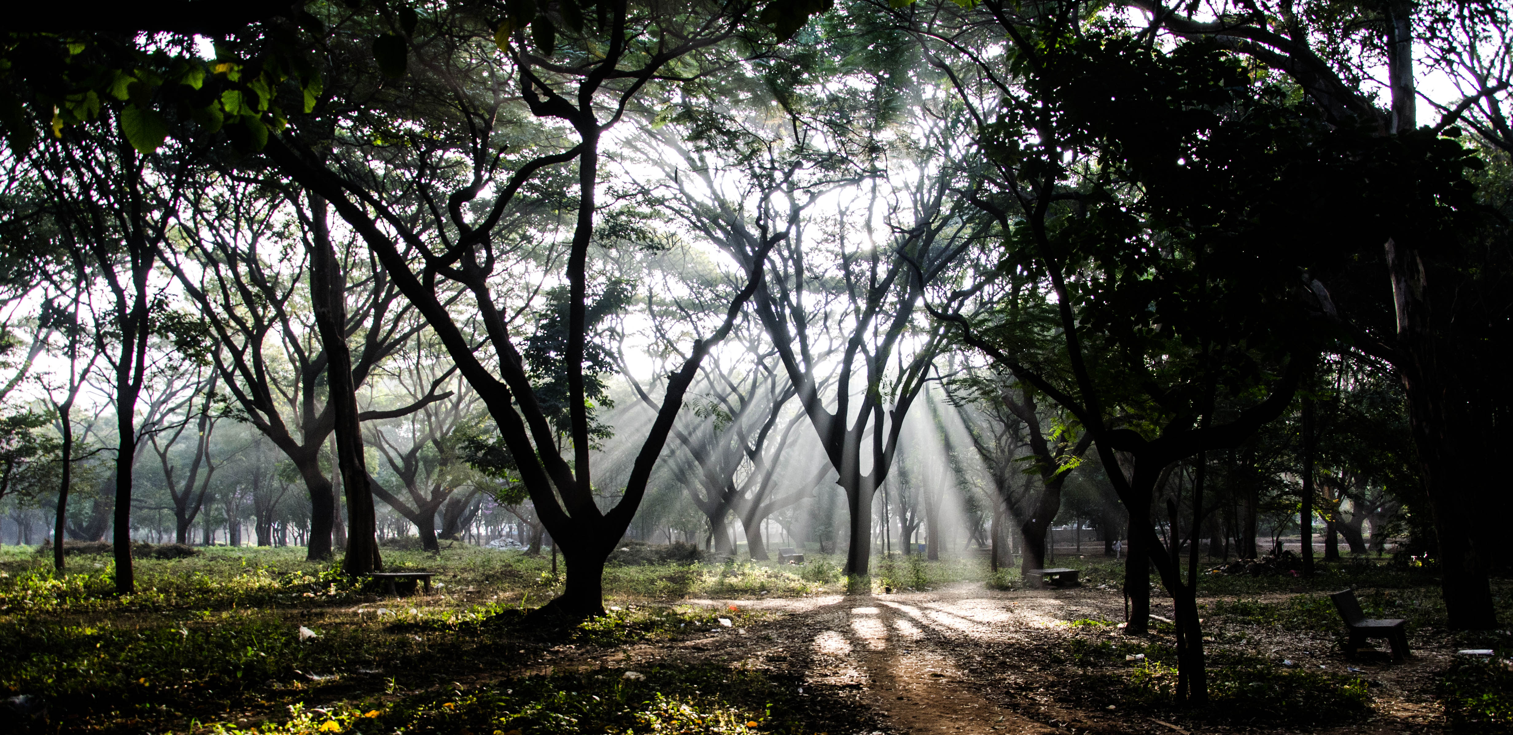 A Glimpse of Bengaluru